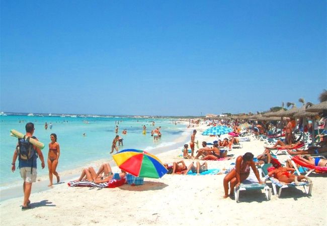 Country house in Campos - Pedro - Campos Country house in Campos - Pedro - Campos