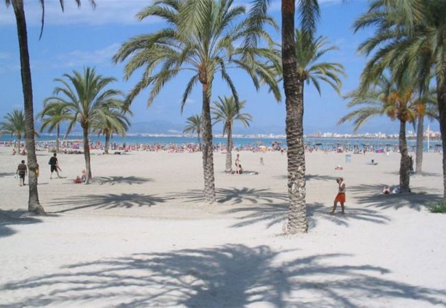 Villa in Llucmajor - Celeste - Llucmajor Villa in Llucmajor - Celeste - Llucmajor