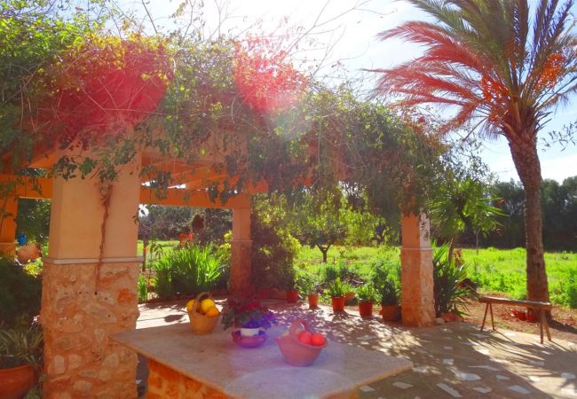 Villa in Llucmajor - Celeste - Llucmajor Villa in Llucmajor - Celeste - Llucmajor