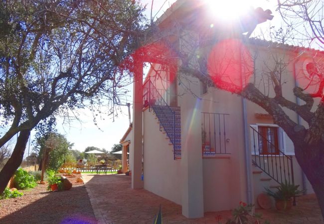 Villa in Llucmajor - Celeste - Llucmajor Villa in Llucmajor - Celeste - Llucmajor