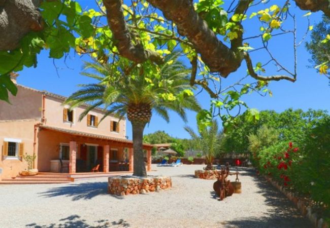 Finca in Campos - Aurelia - Campos Finca in Campos - Aurelia - Campos