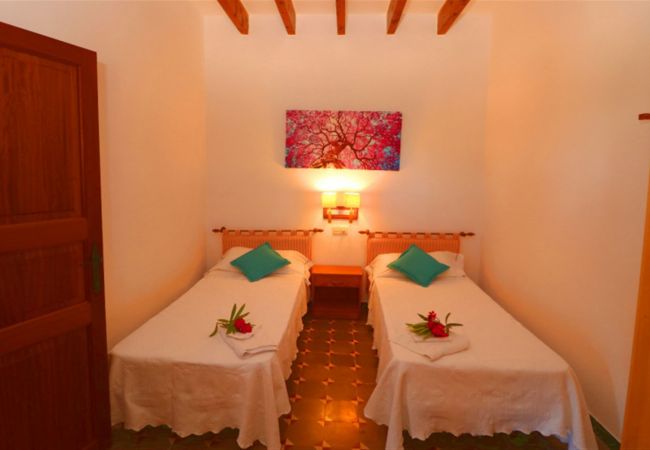 Finca in Campos - Aurelia - Campos Finca in Campos - Aurelia - Campos