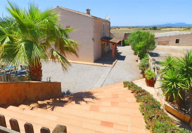 Finca in Campos - Aurelia - Campos Finca in Campos - Aurelia - Campos