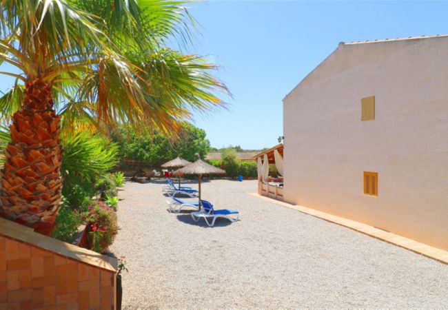 Finca in Campos - Aurelia - Campos Finca in Campos - Aurelia - Campos