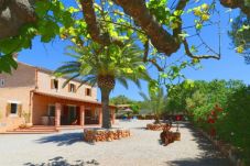 Finca in Campos - Aia - Campos