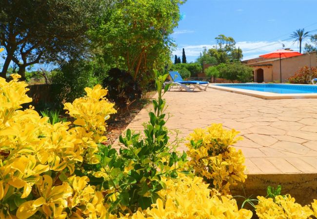 Finca in Es Llombards - Jimena - Es Llombards Finca in Es Llombards - Jimena - Es Llombards
