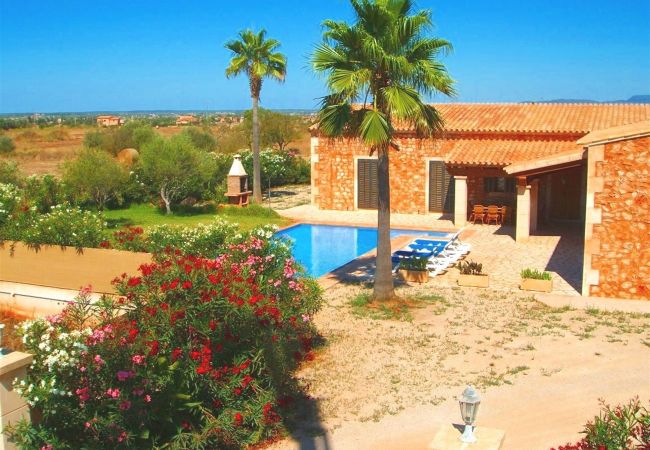 Finca in Campos - Graciano - Campos Finca in Campos - Graciano - Campos