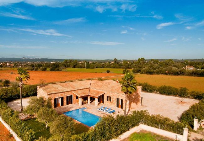 Finca in Campos - Graciano - Campos Finca in Campos - Graciano - Campos