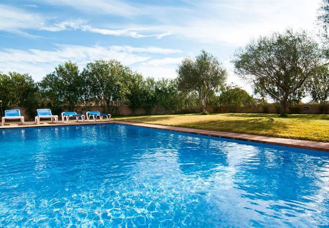 Finca in Campos - Graciano - Campos Finca in Campos - Graciano - Campos