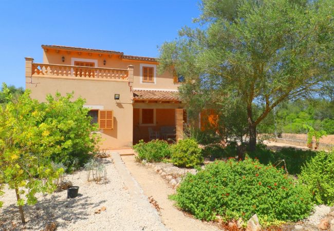 Finca in Santanyi - Alvaro - Santanyi Finca in Santanyi - Alvaro - Santanyi