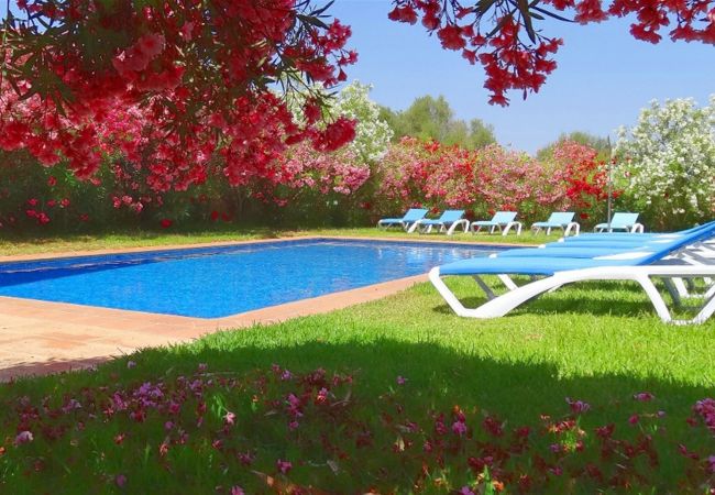 Villa in Campos - Bonita - Campos Villa in Campos - Bonita - Campos