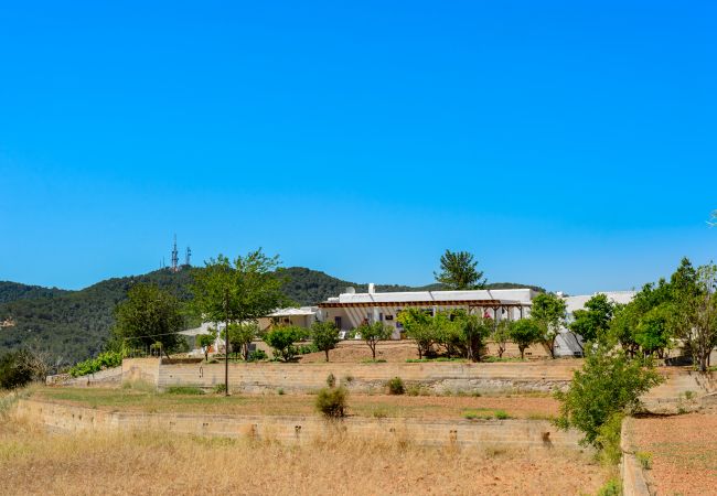 Finca in Santa Eulària des Riu - Can Torrat - Santa Eulalia Finca in Santa Eulària des Riu - Can Torrat - Santa Eulalia