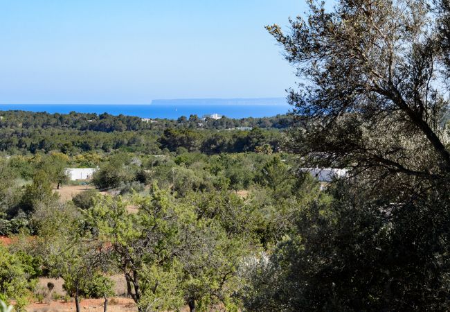 Finca in San Carlos/ Sant Carles de Peralta - Can Manuel - San Carlos Finca in San Carlos/ Sant Carles de Peralta - Can Manuel - San Carlos