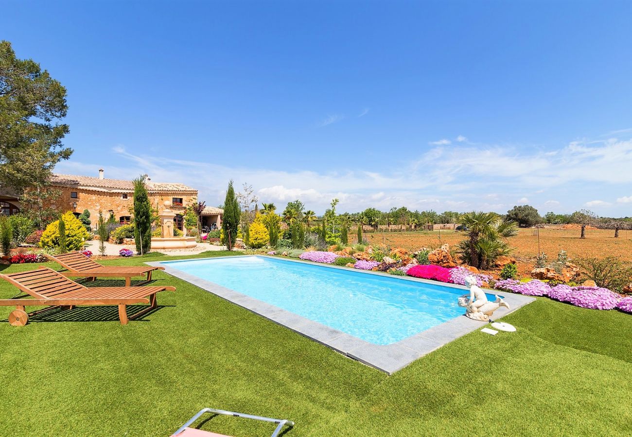 Finca in Sencelles - Casa Pou